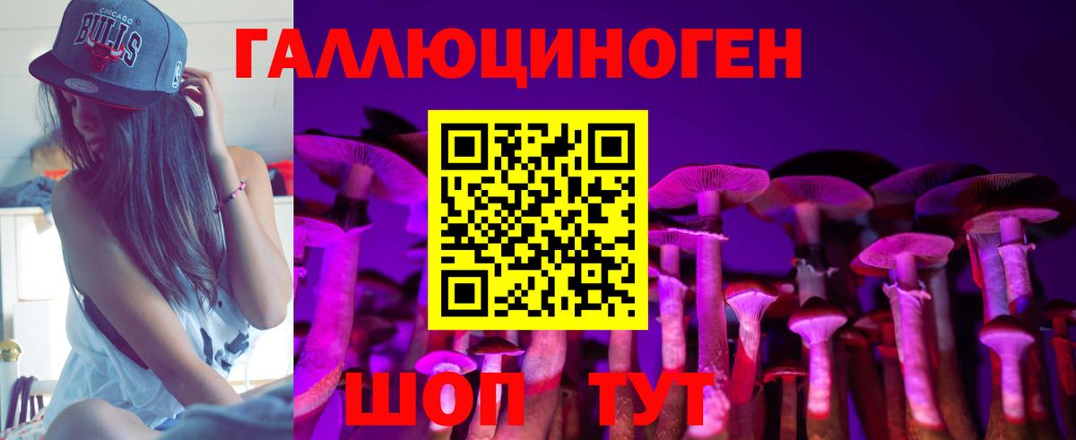Псилоцибиновые грибы мицелий Сокол